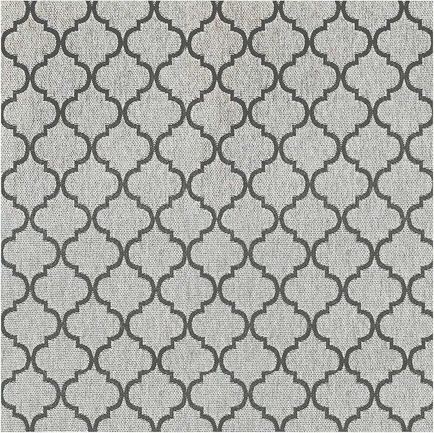 4x6 Outdoor & Indoor Trellis Rug