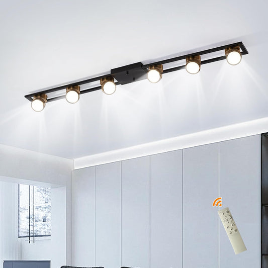 6-Light Ceiling Track Fixture with Remote
